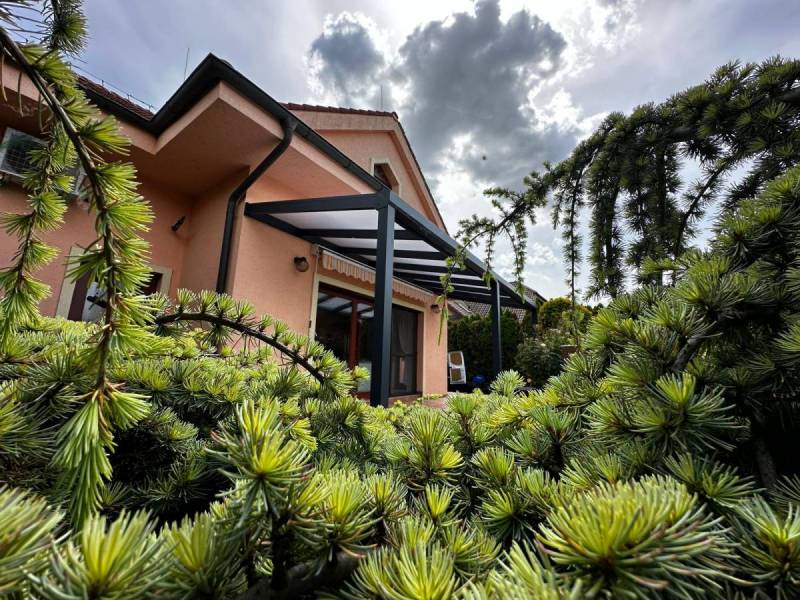 Pohľad na pergolu zo záhrady